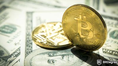 Mt. Gox Transfers $2.5 Billion Worth of Bitcoin to Unidentified Wallet Address