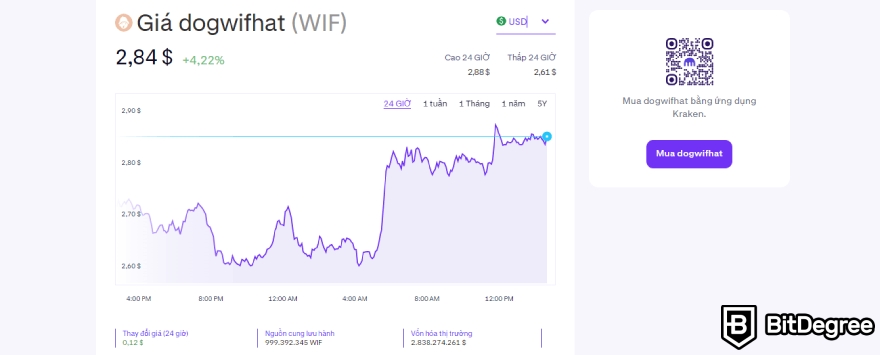 Mua WIF coin như thế nào: Giá dogwifhat trên Kraken.