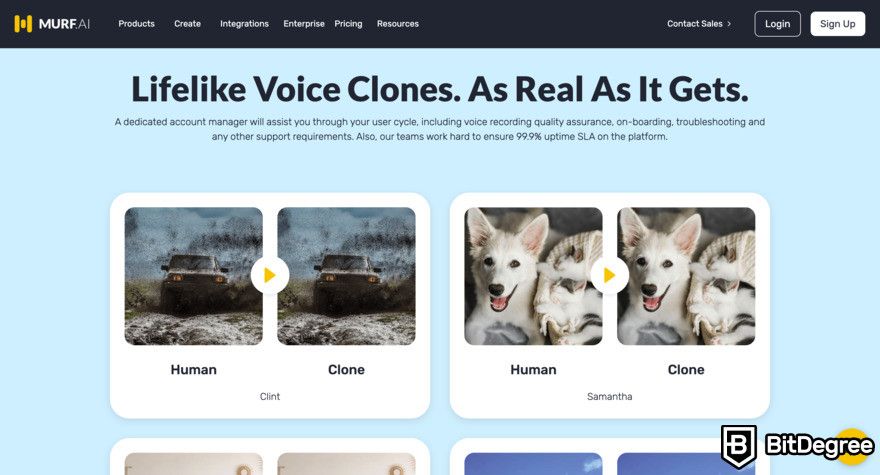 Murf.AI review: lifelike voice page.