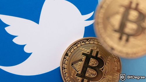 NCRI Study Reveals the Impact Twitter Bots and Elon Musk has on Altcoin Prices