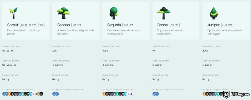 Nebeus review: crypto renting plans. Nebeus review: crypto renting plans.