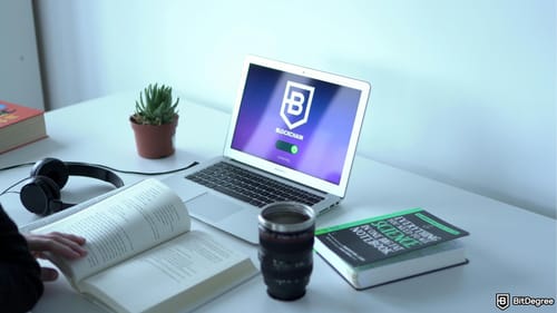 New BitDegree Mission Introduces Users to Walbi: Where Crypto Meets AI