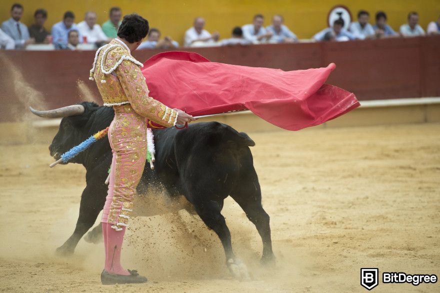 Next crypto bull run: a matador near a black bull.