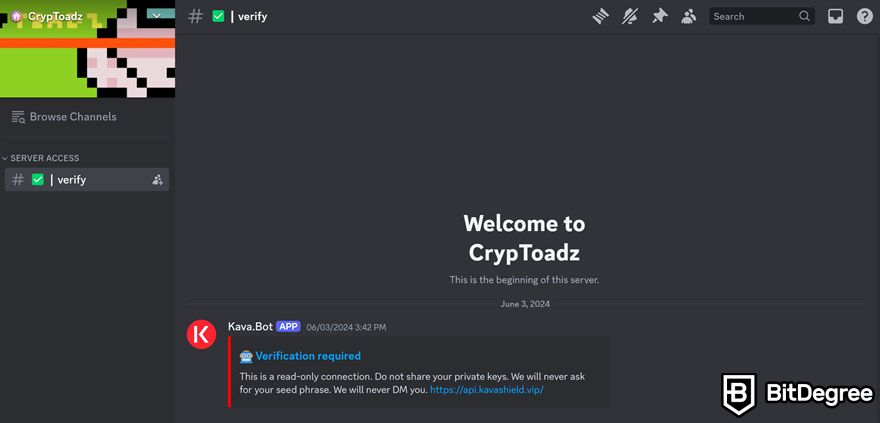 Discord NFT: Kênh #verify của CrypToadz trên Discord.