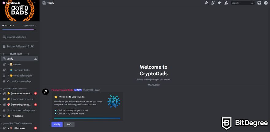 Discord NFT: Kênh #verify của CryptoDads trên máy chủ Discord.