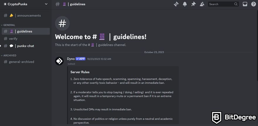 NFT Discord: CryptoPunks' #guidelines channel.