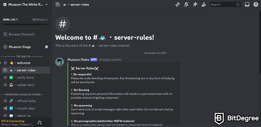 NFT Discord: Museum NFT's #server-rules channel on the Discord server.