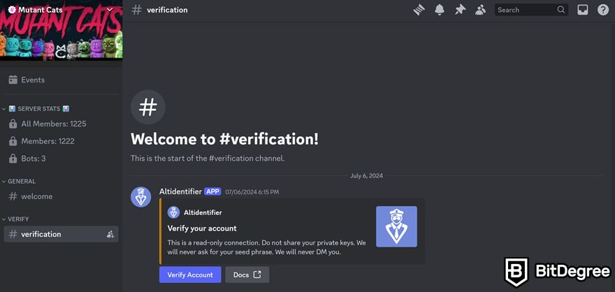 NFT Discord: Mutant Cats' #verification channel on the Discord server.