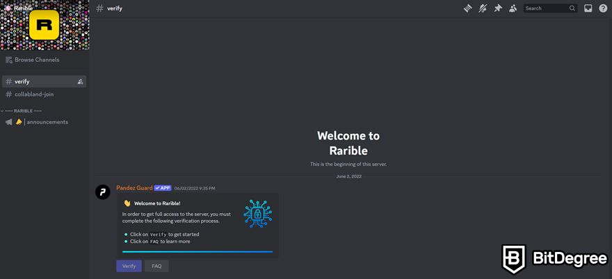 Discord NFT: Kênh #verify của Rarible trên máy chủ Discord.