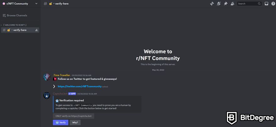 NFT Discord: r/NFT Community's #verify channel on the Discord server.