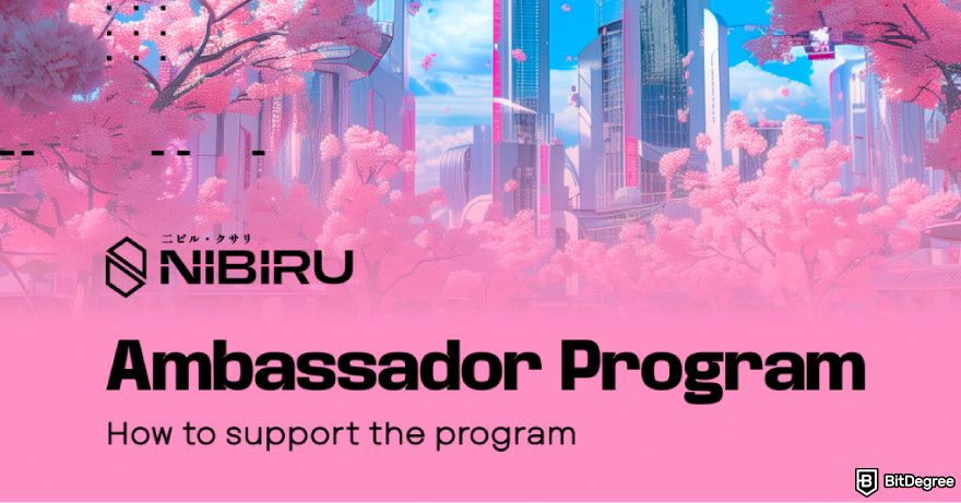 Nibiru.fi airdrops: a picture of the Nibiru Ambassador program.