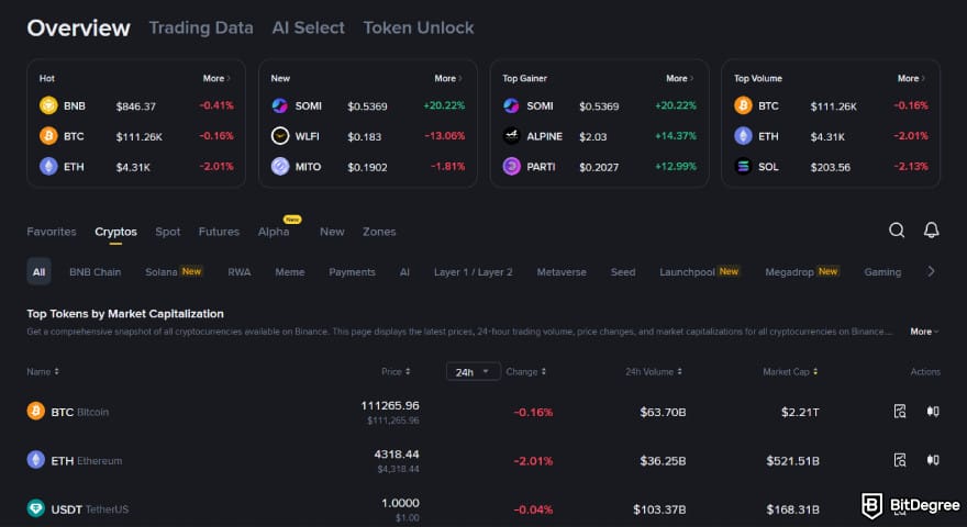 NovaEx review: Binance market overview dashboard.