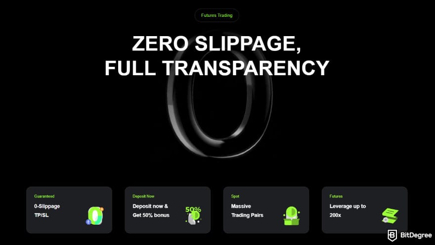NovaEx review: landing page.