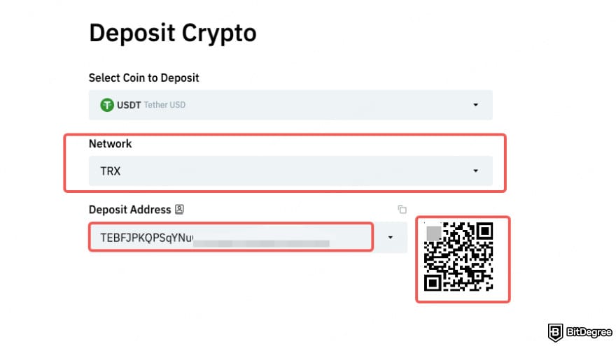 NovaEx review: choose the network.