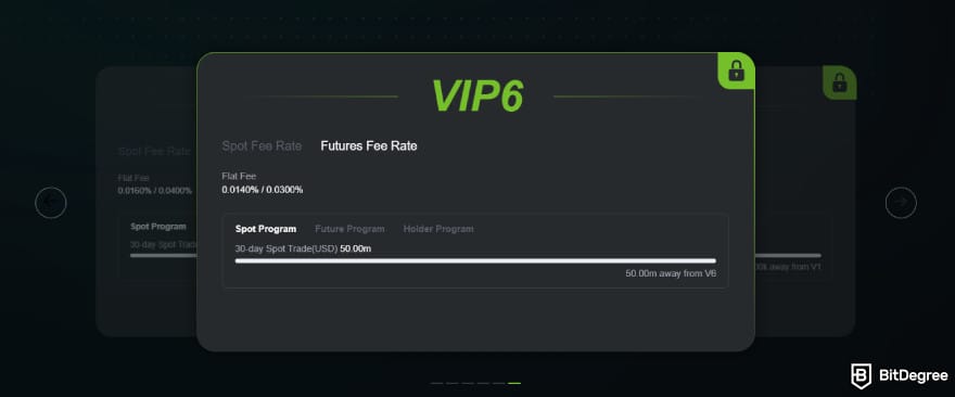 NovaEx review: VIP program on the platform.