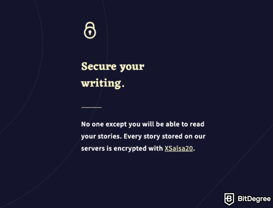 Novel AI review: Novel AI displaying the security benefits it has.