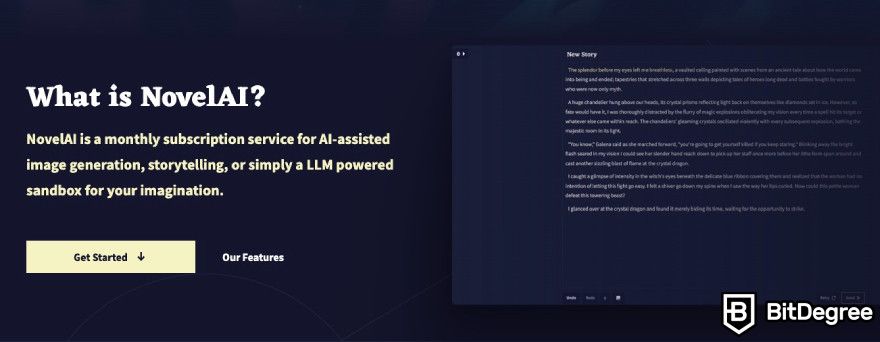 Novel AI review: Novel AI displaying what it is on their website.