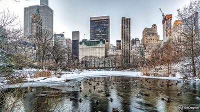 NYC's ex-mayor launched a token... then rug-pulled