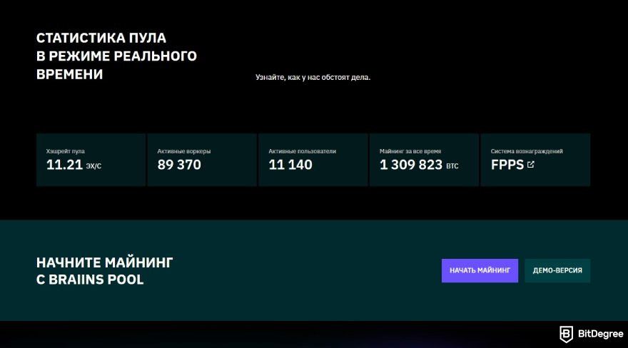 Обзор Slush Pool: статистика в режиме реального времени.