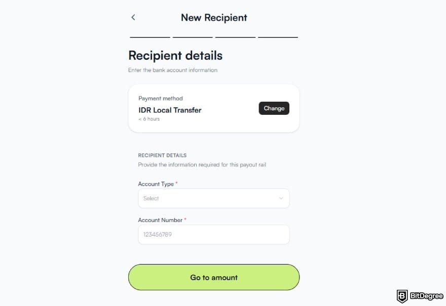 Ogvio review: filling in the recipient's bank details.