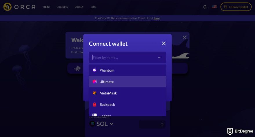 Orca exchange review: a screenshot of Orca's wallet selection process.