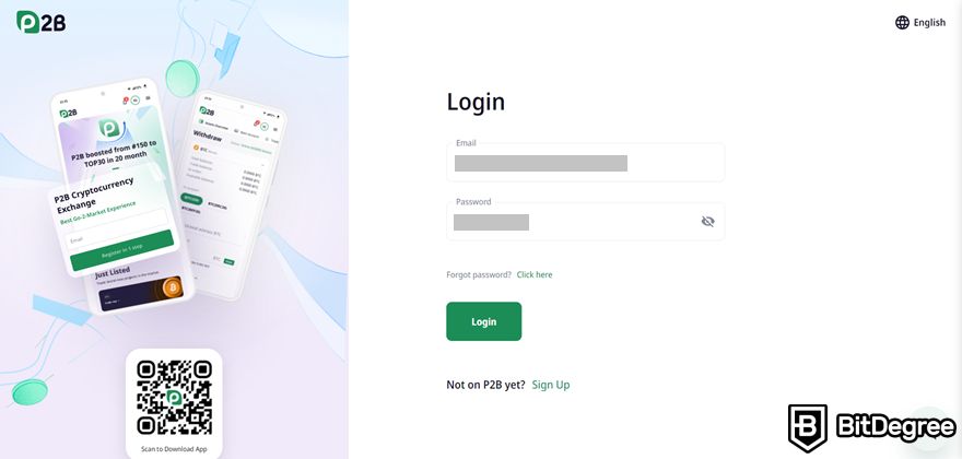 P2B review: login page.