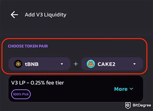 PancakeSwap liquidity: token pair.