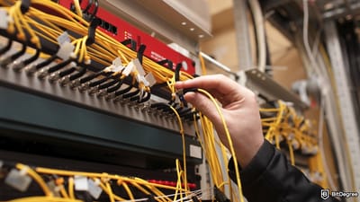 Paradex Faces Outage, Rolls Back Chain to Restore Operations