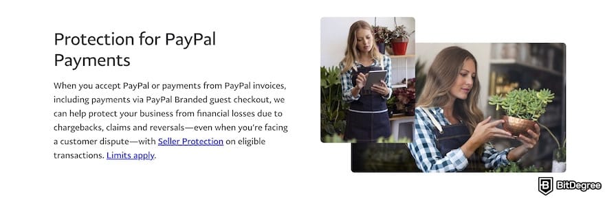 Payoneer alternative: PayPal's seller protection program.