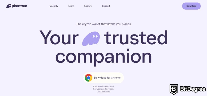 Phantom Wallet review: Phantom Wallet's homepage.