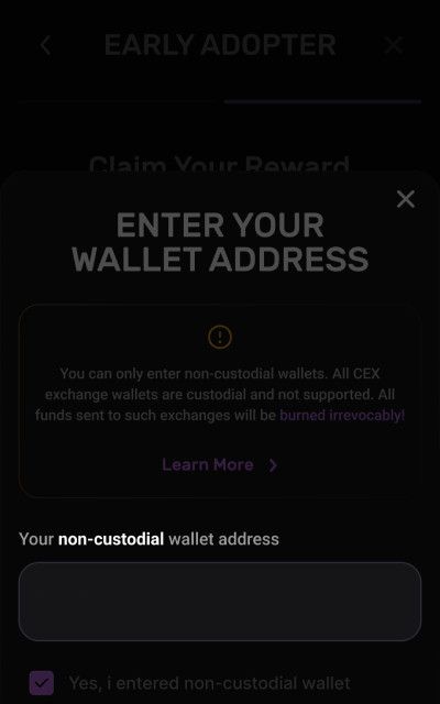 Pixelverse airdrop: a screenshot of the non-custodial wallet address form.