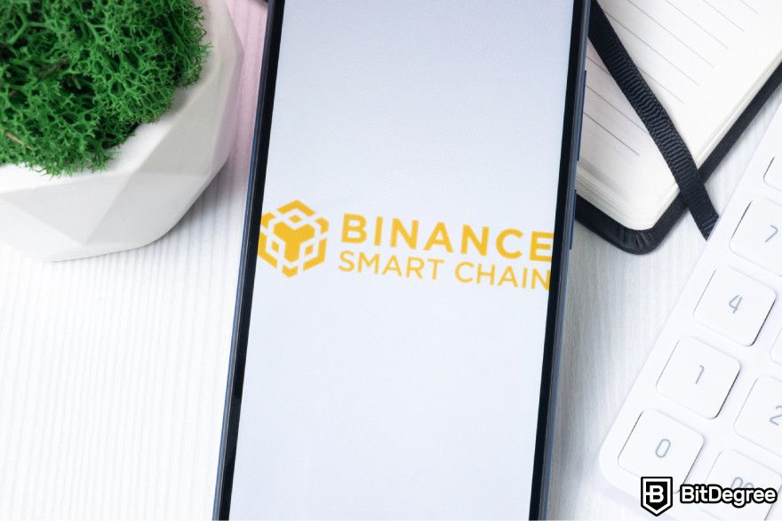 Plant VS Undead NFT: a phone screen with the Binance Smart Chain logo on it.