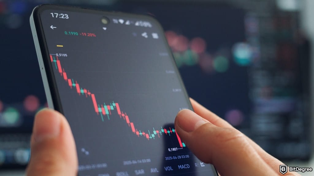 Plasma’s XPL Crashes, Paul Faecks Denies Team Token Sales