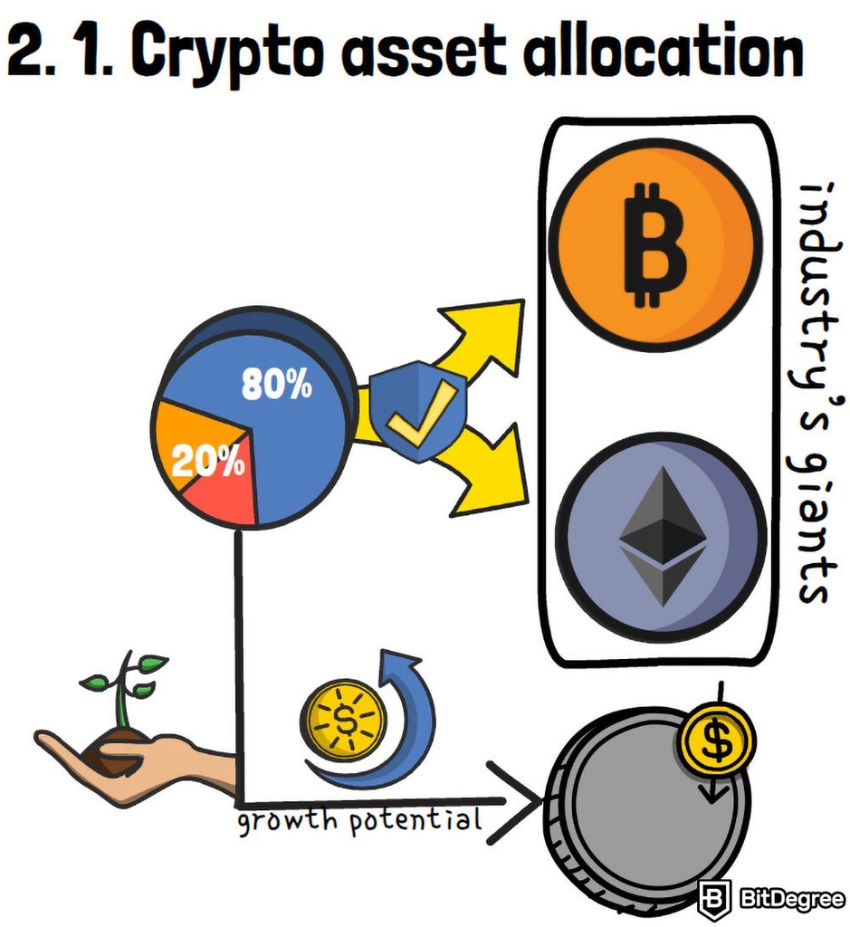 Definicion de diversificacion de cartera: asignacion de criptoactivo.