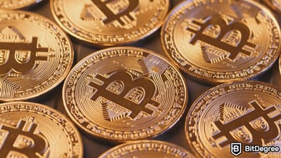 Post-Halving Spike: Bitcoin Daily Transactions Hit Record High Post-Halving Spike: Bitcoin Daily Transactions Hit Record High