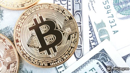 Presidential Candidate Robert F. Kennedy Jr. Proposes BTC Backing for US Dollar
