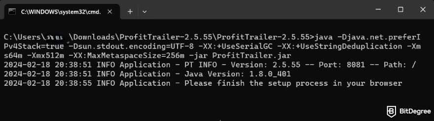 Profit Trailer review: the Command Prompt's startup messages.