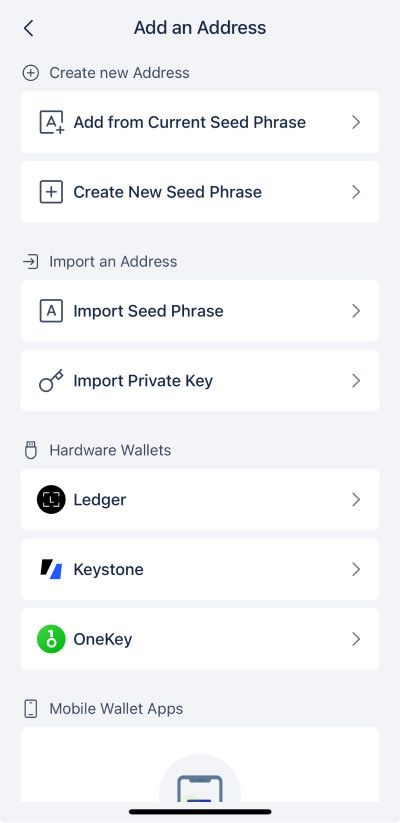 Rabby wallet review: a screenshot of Rabby wallet's Import Seed Phrase screen.