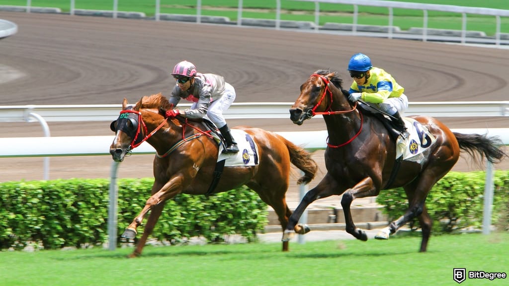 Race to Win: Owners Club Featured in Latest BitDegree Mission