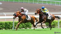 Race to Win: Owners Club Featured in Latest BitDegree Mission