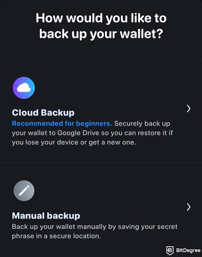 Rainbow wallet review: a pop-up showing cloud backup and manual backup options.