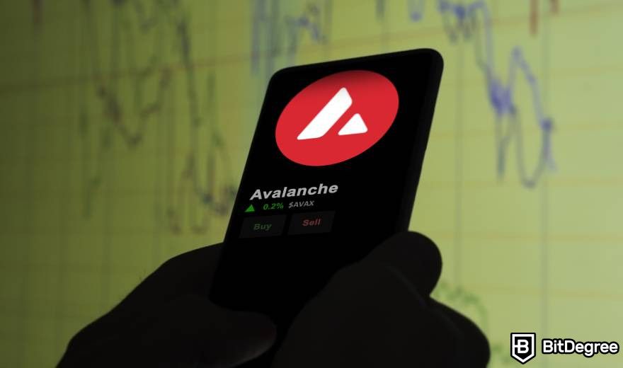 Real World Asset Crypto: a person holding a phone showing Avalanche logo on the screen.