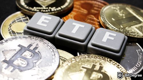 Record Outflows Hit Bitcoin ETFs
