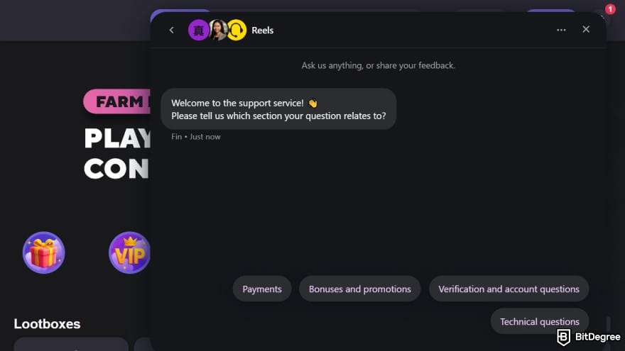 Reels.io casino review: chat support interface.