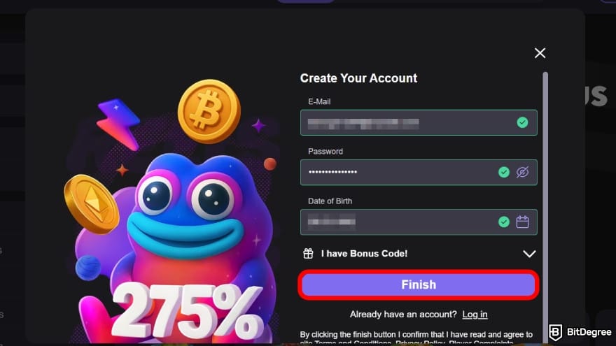 Reels.io casino review: enter account details.