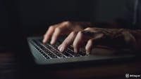 Remote Work Scam: North Koreans Stole $1 Million in Crypto, DOJ Says