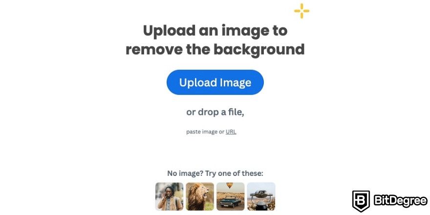 Remove.bg review: image upload page.