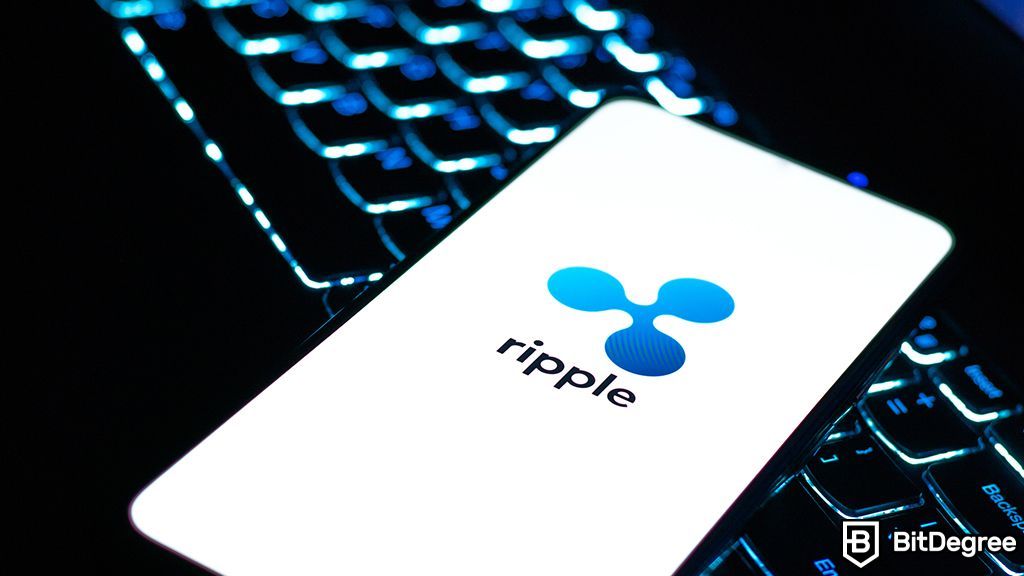 Ripple CEO Predicts Lengthy SEC Appeal Process in XRP Case