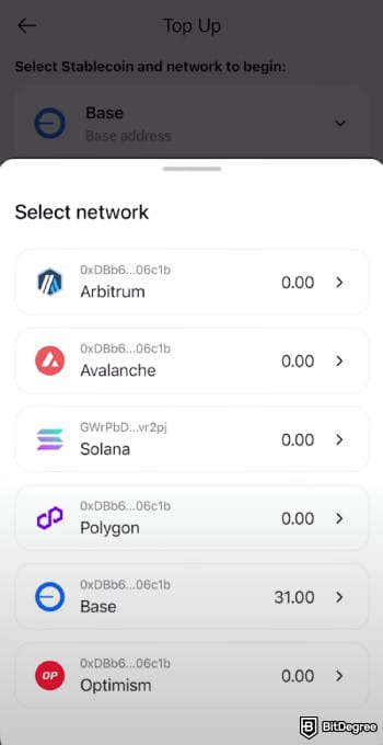 Rizon review: Rizon top up account choose crypto network.