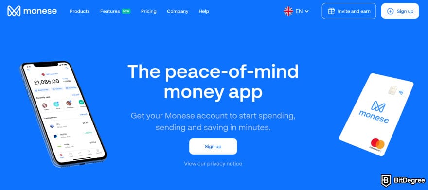 Rizon review: Monese homepage.